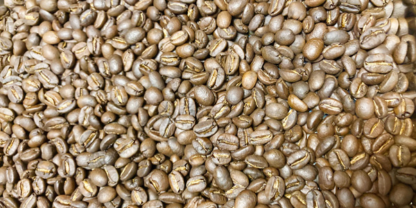 20251207焙煎コーヒーKUPブレンド